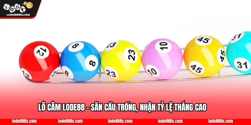 Lô Câm LODE88 - Săn Cầu Trống, Nhận Tỷ Lệ Thắng Cao
