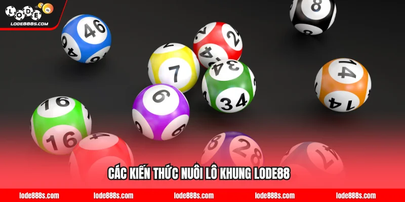 Tìm hiểu thêm các kiến thức nuôi lô khung LODE88