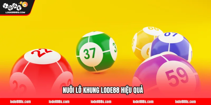 Nuôi lô khung LODE88 hiệu quả