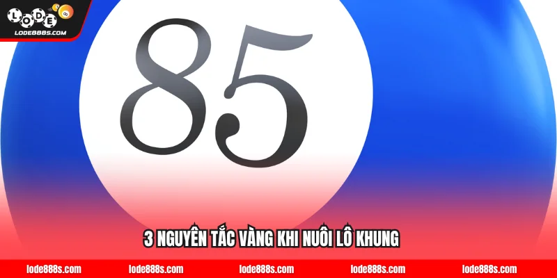 3 nguyên tắc vàng khi nuôi lô khung LODE88